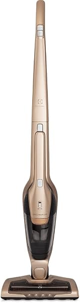 Electrolux Ergorapido ERG26 2 em 1 sem Fio (Bivolt)